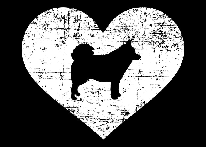 Schipperke