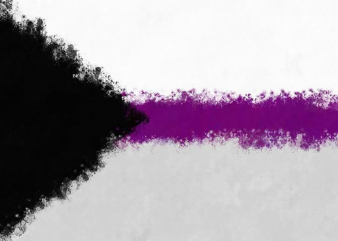 Demisexual Pride Flag
