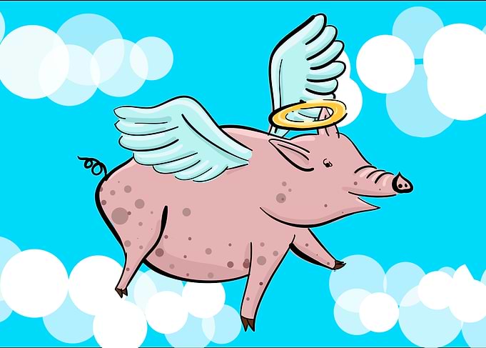 Flying Pig