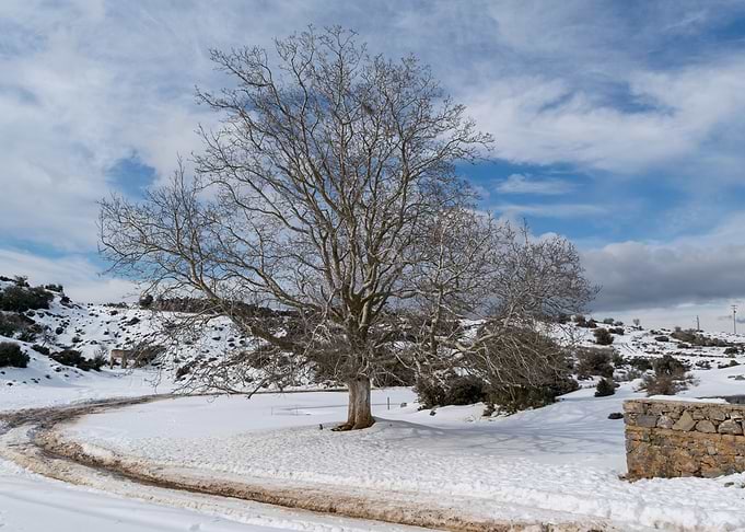 Days of Snow