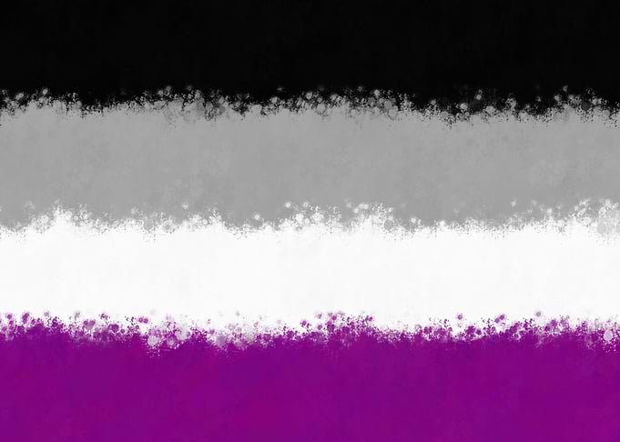 Asexual Pride Flag