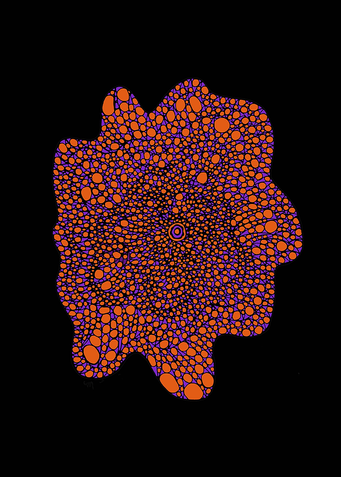 Purple and Orange Flower
