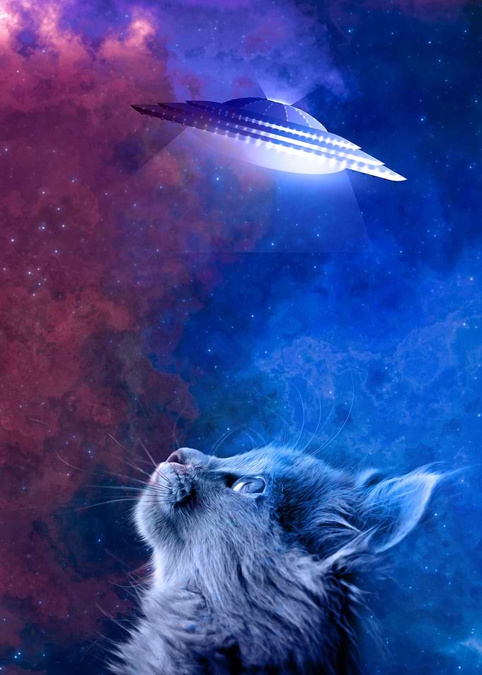 Space Cat UFO Scifi
