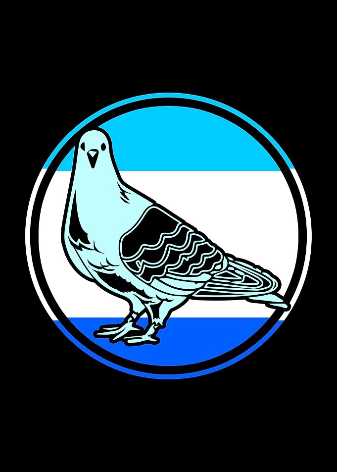 Pigeon Bird Illustration