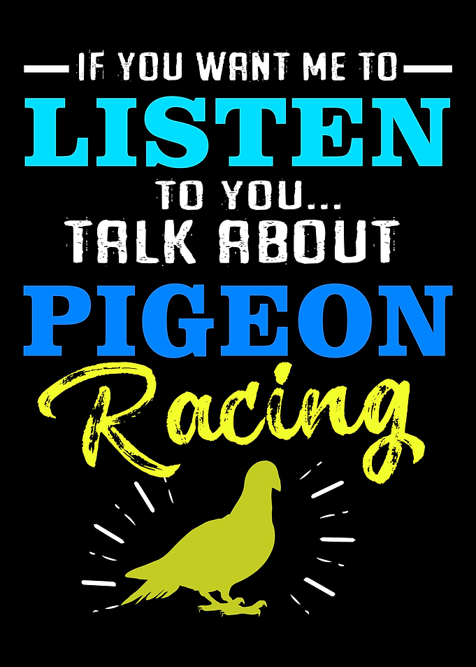 Pigeon Funny Bird