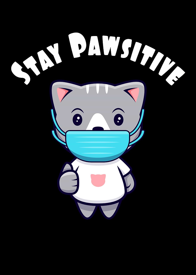 Cute Kawaii Cat Face Mask