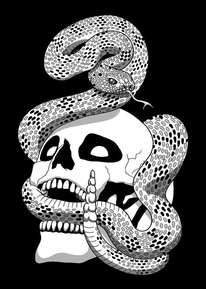 Snake and Skull