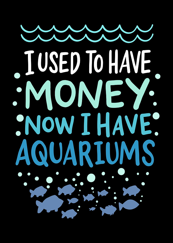 Aquariums Fish Keeper