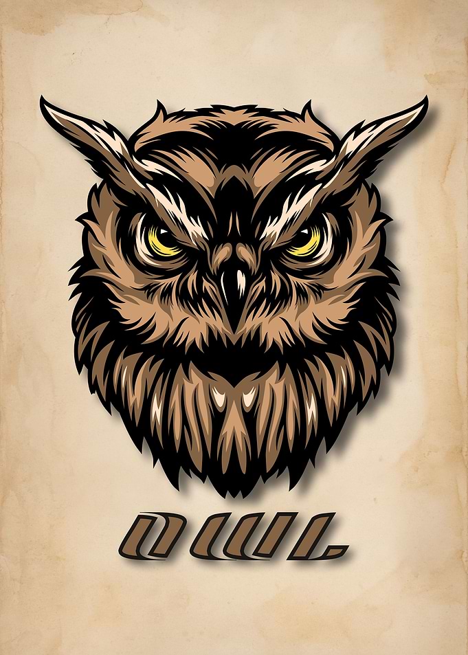 Owl face