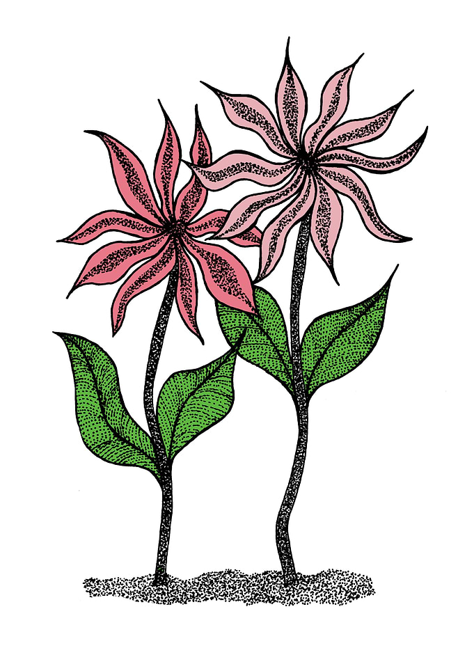 Flower Siblings
