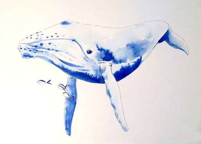 Whale1