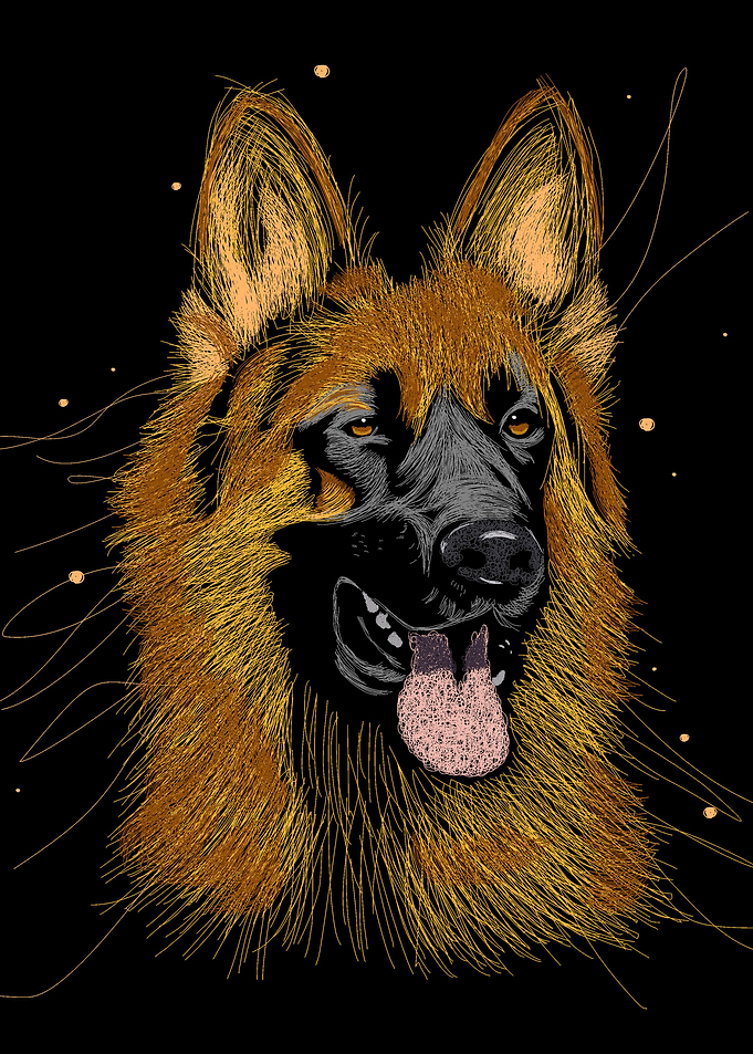 hand drawn dogs