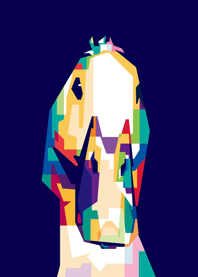 Duck Illustrations