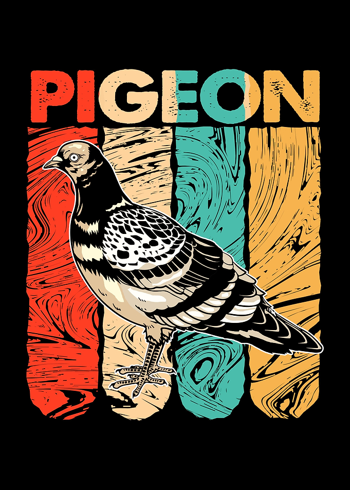 Pigeon Grunge Bird