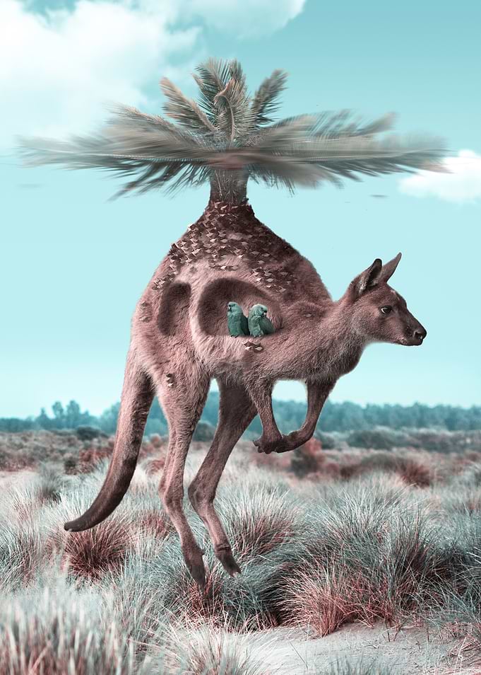 Elevation
