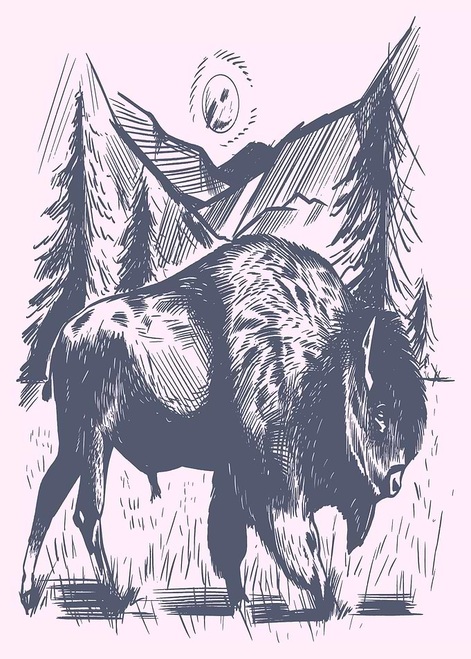 HAND DRAWN BISON
