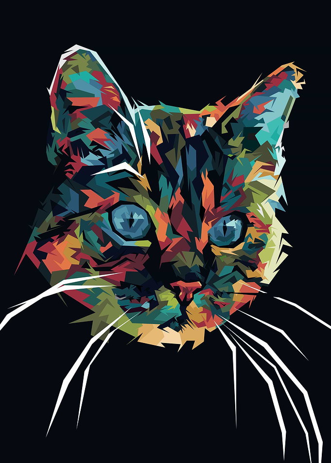 Looking for Cat