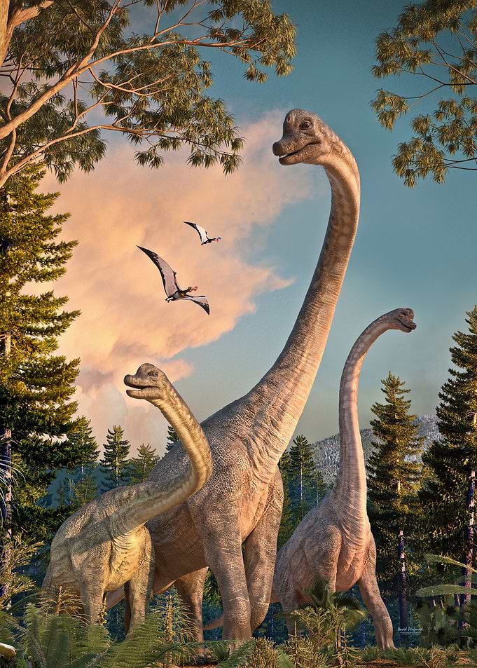 Brachiosaurus Walk