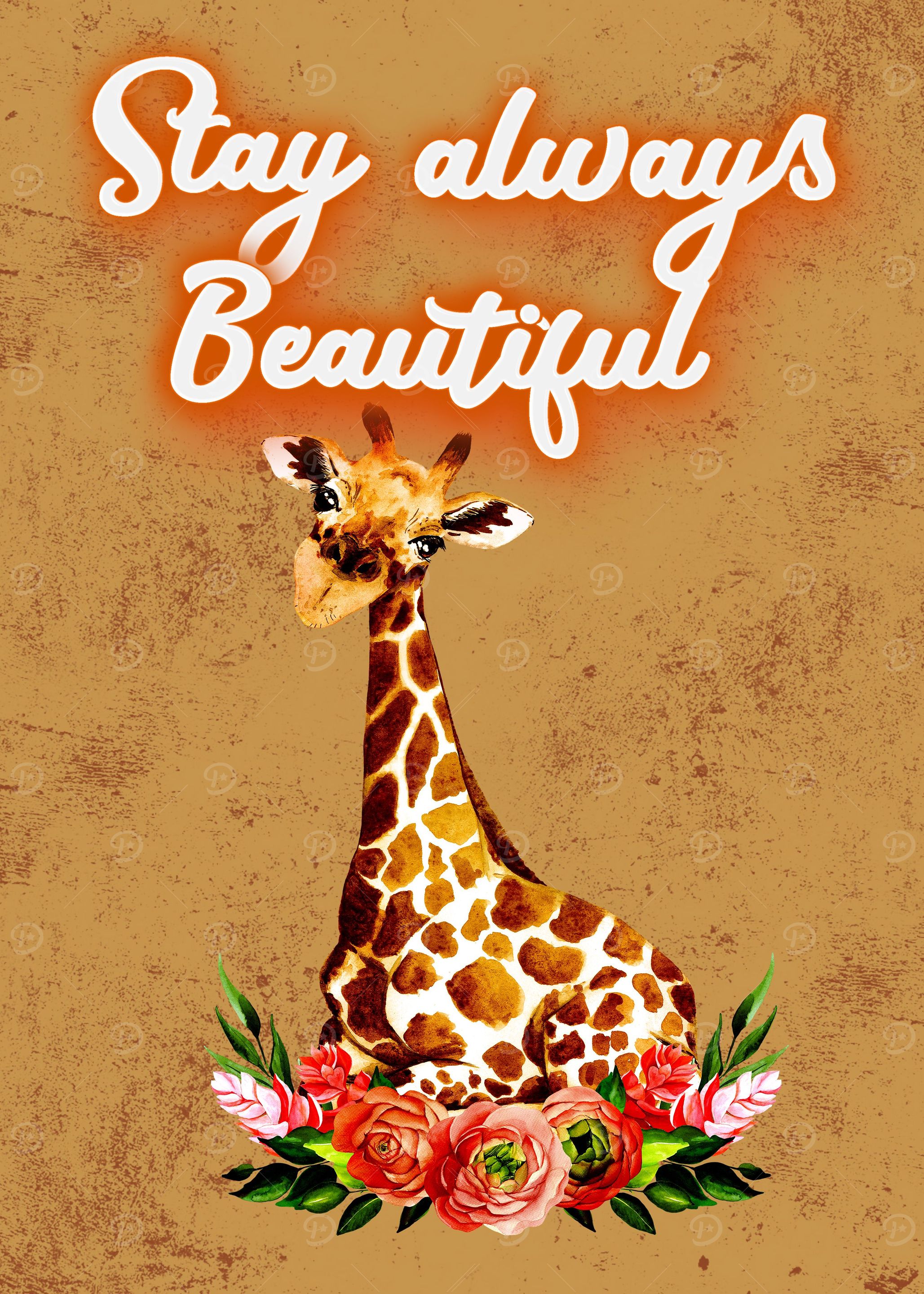 Giraffe Giraffes Africa