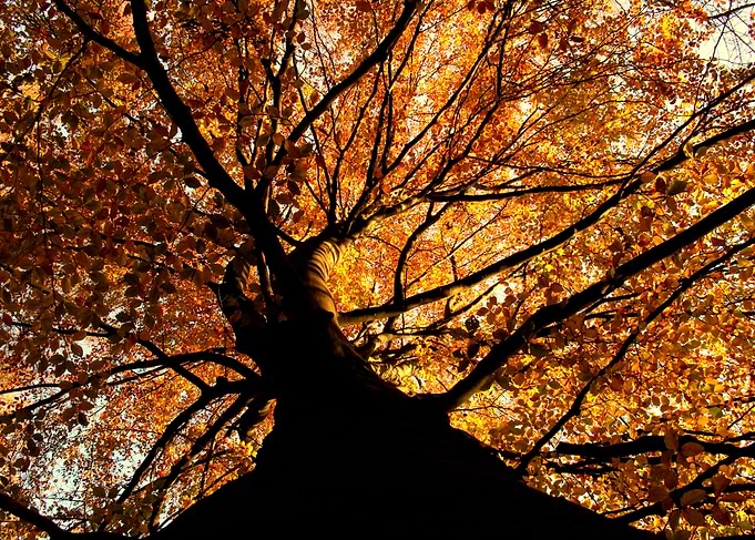 Autumn