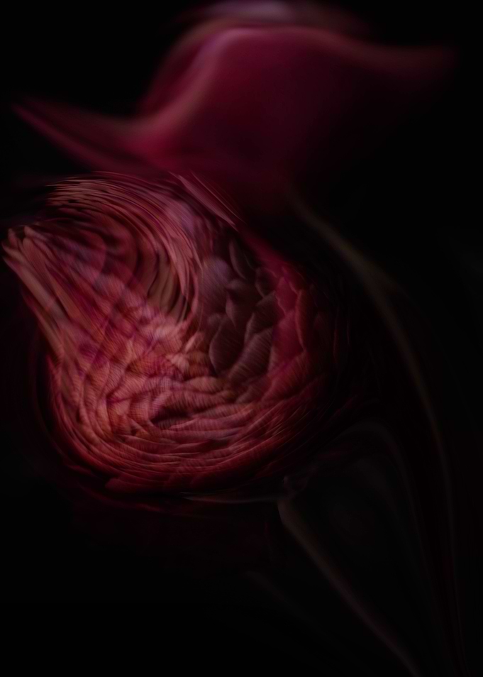 Abstract flowers
