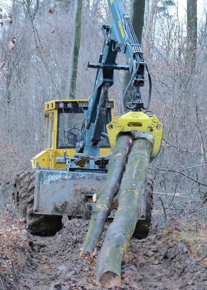 Work on Forest