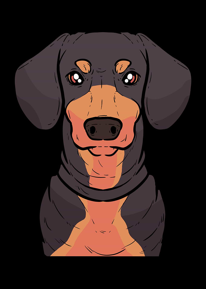 Ser Dackel Dachshund Dac