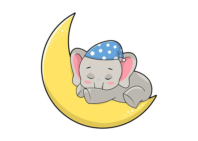 Elephant Sleeping Moon