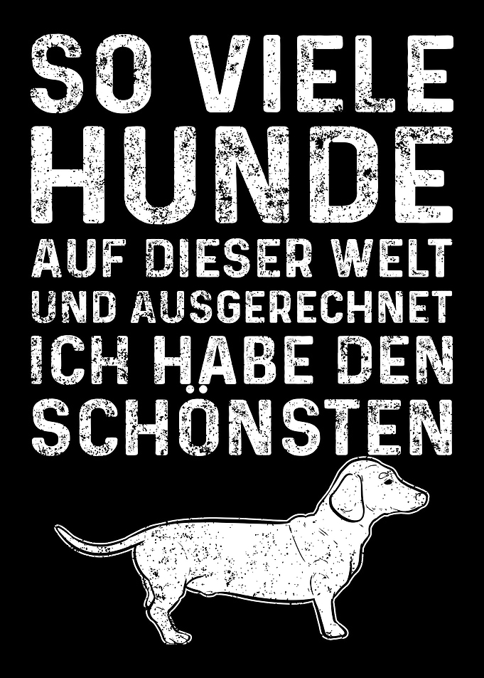 So Viele Hunde Dackel Dach