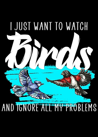 Birdwatching problems
