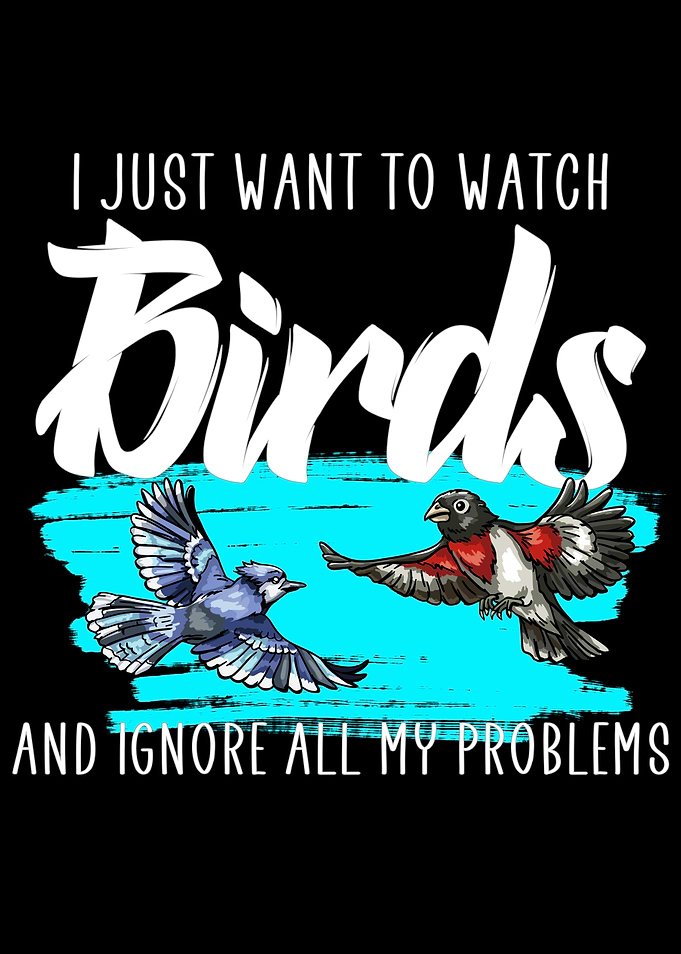 Birdwatching problems