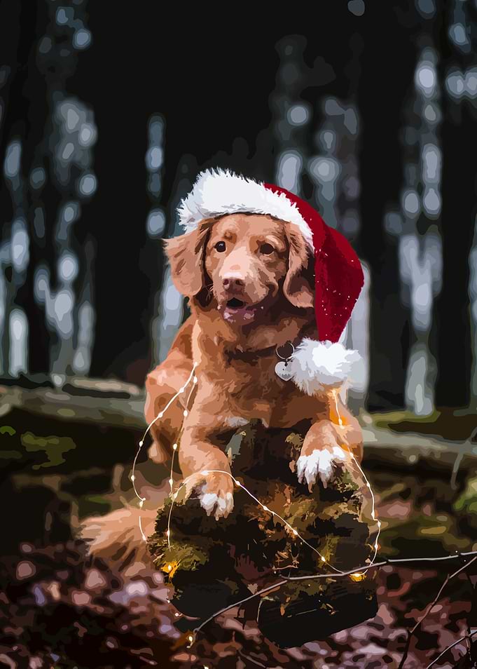 golden Santa
