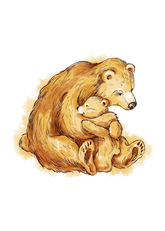 Bear