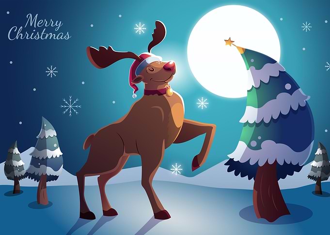 Reindeer