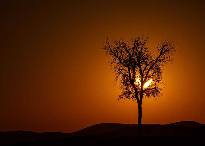 Sun Eclipse