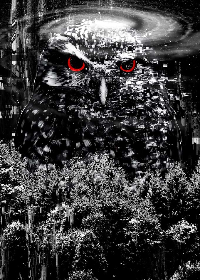 Watcher