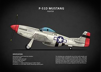 The P51D Mustang