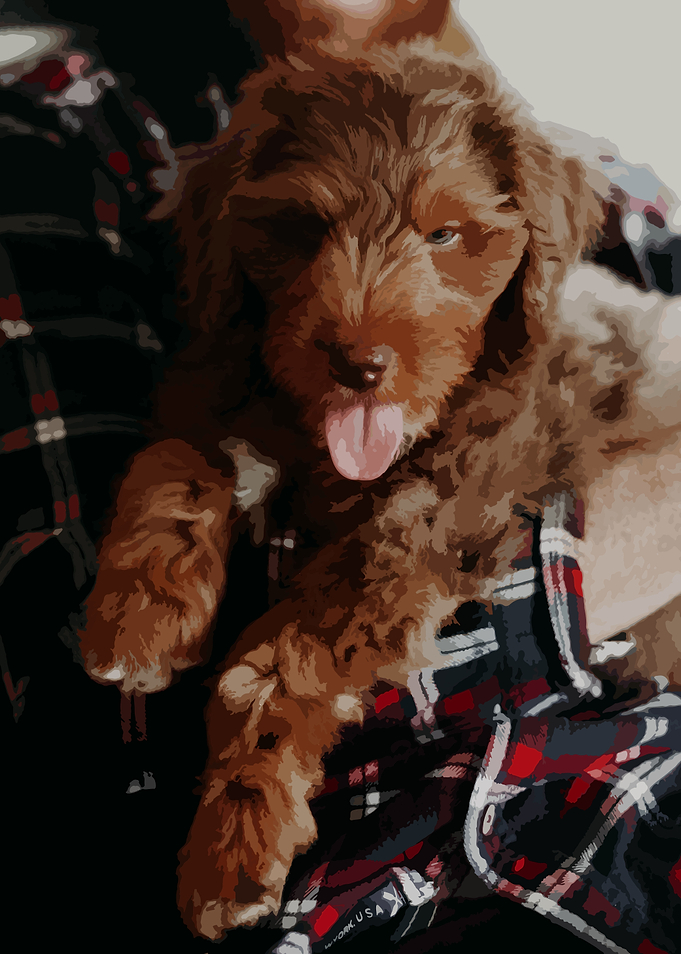 Pupper