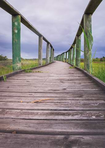 Wooden boardwalk