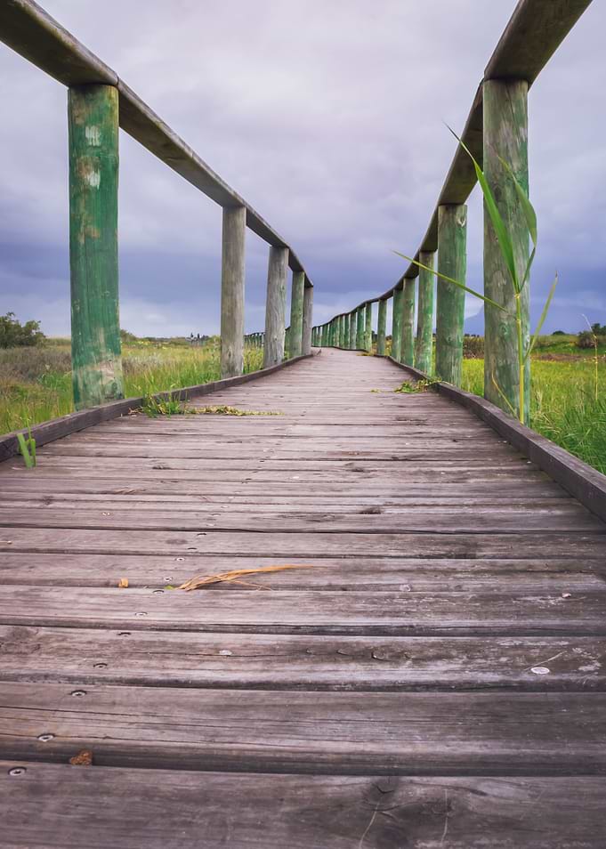 Wooden boardwalk