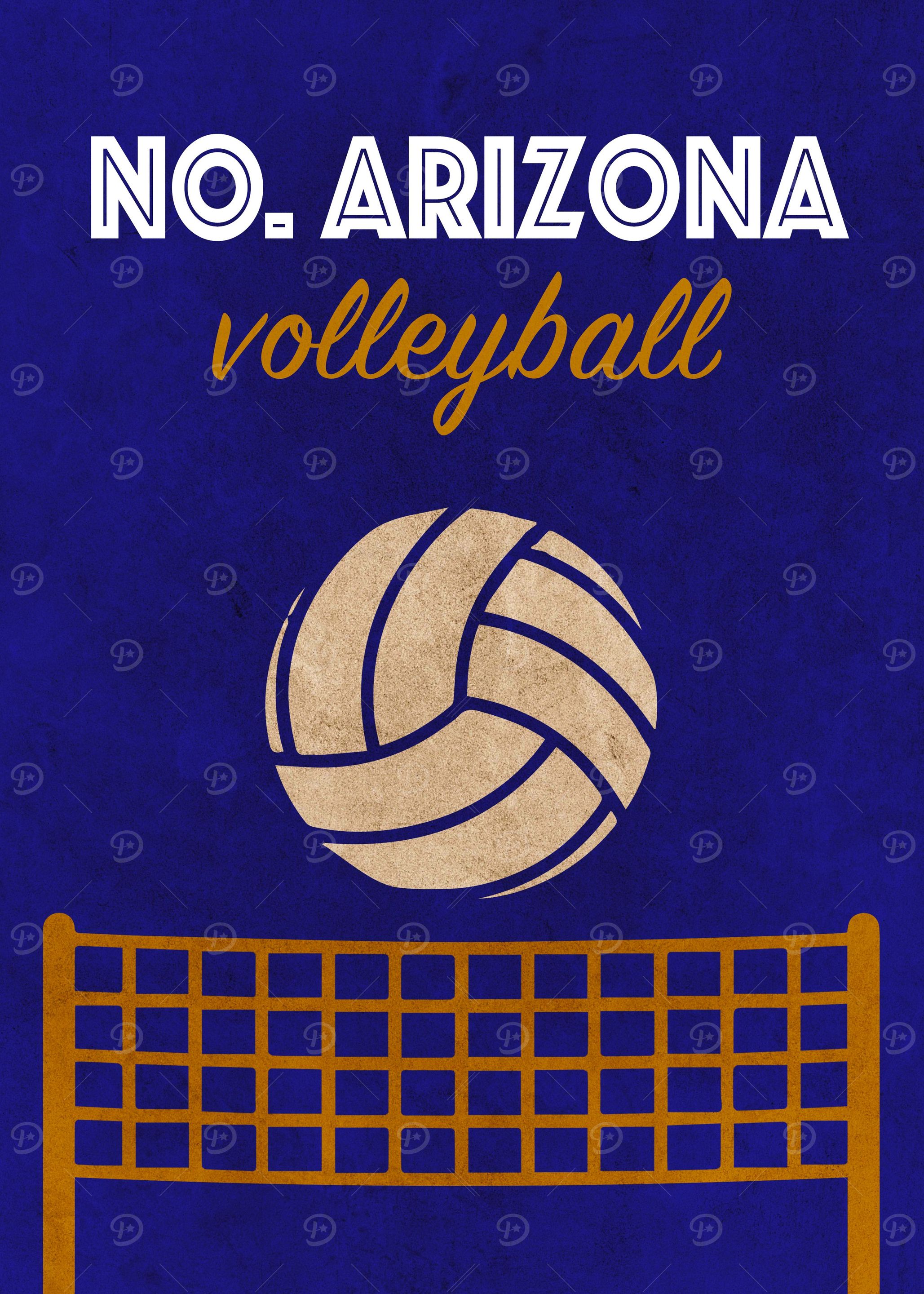 North Arizona Volleyball