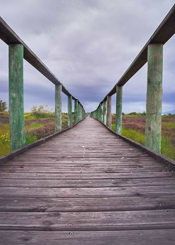 Wooden boardwalk