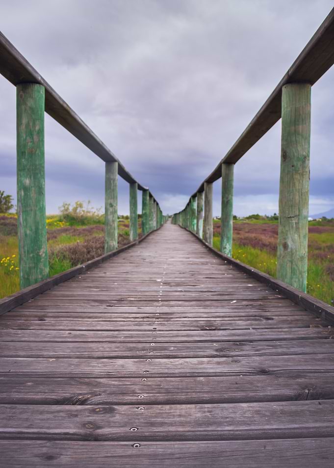 Wooden boardwalk