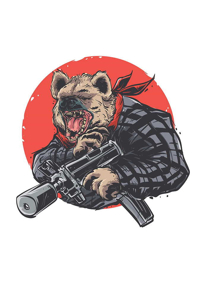 Gun