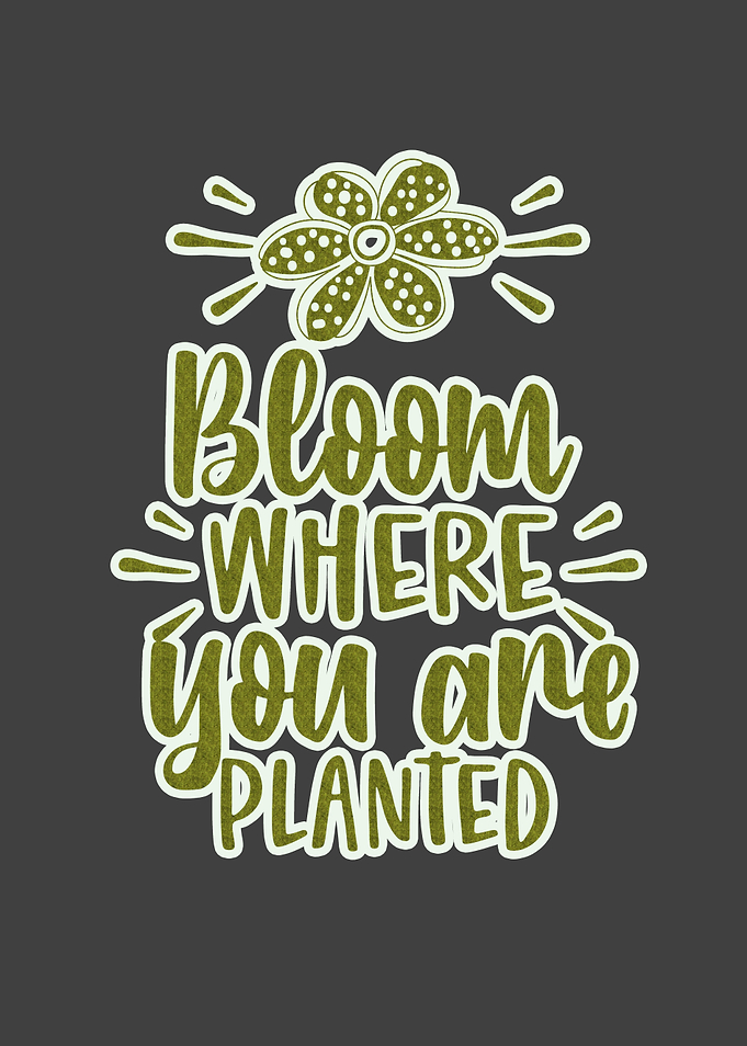 Bloom Where You Are