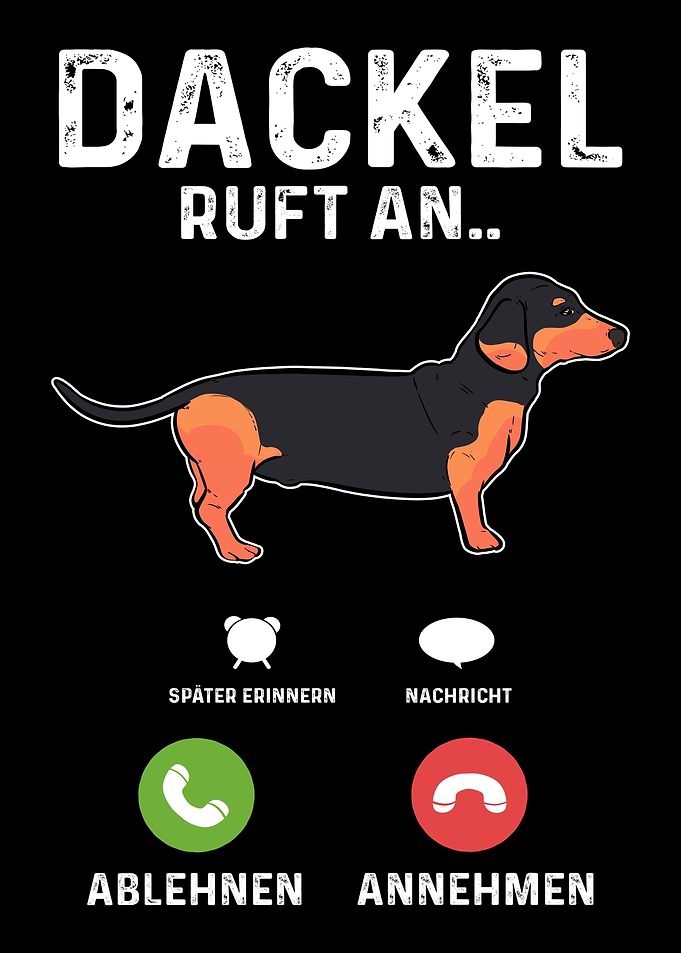 Dackel Dachshund Ruft An