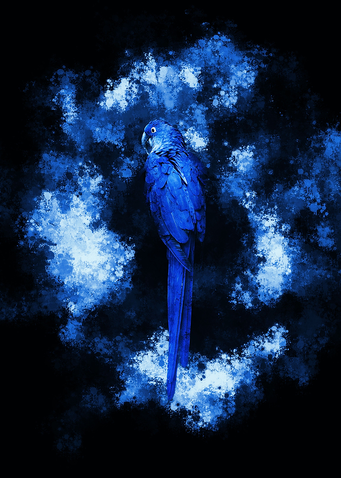 The Parrot King