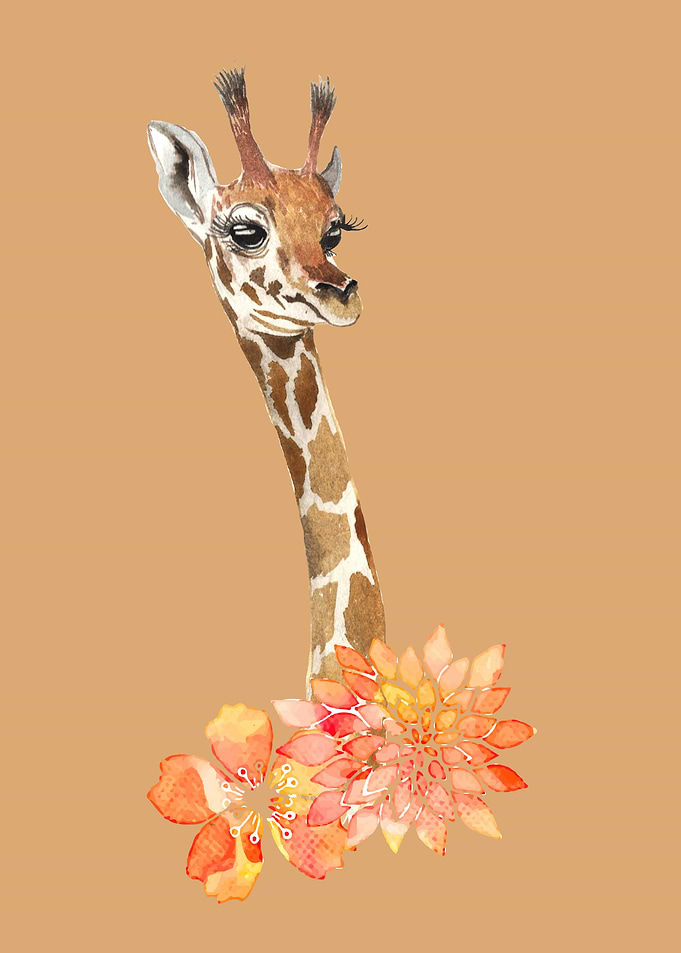 Giraffe Giraffes Africa