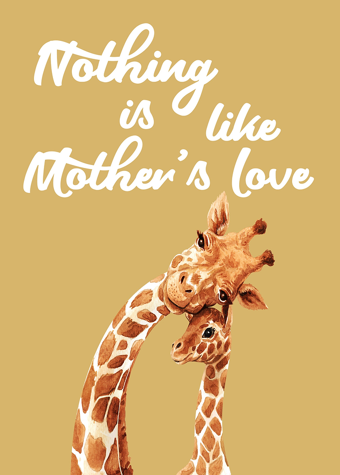 Giraffe Giraffes Africa