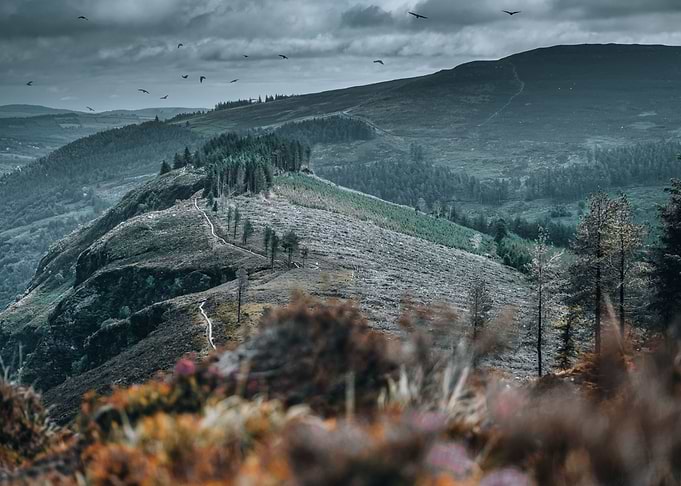 Magical Irish Landscape